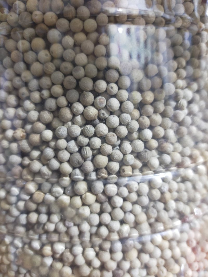 海南野生胡椒根，白胡椒。