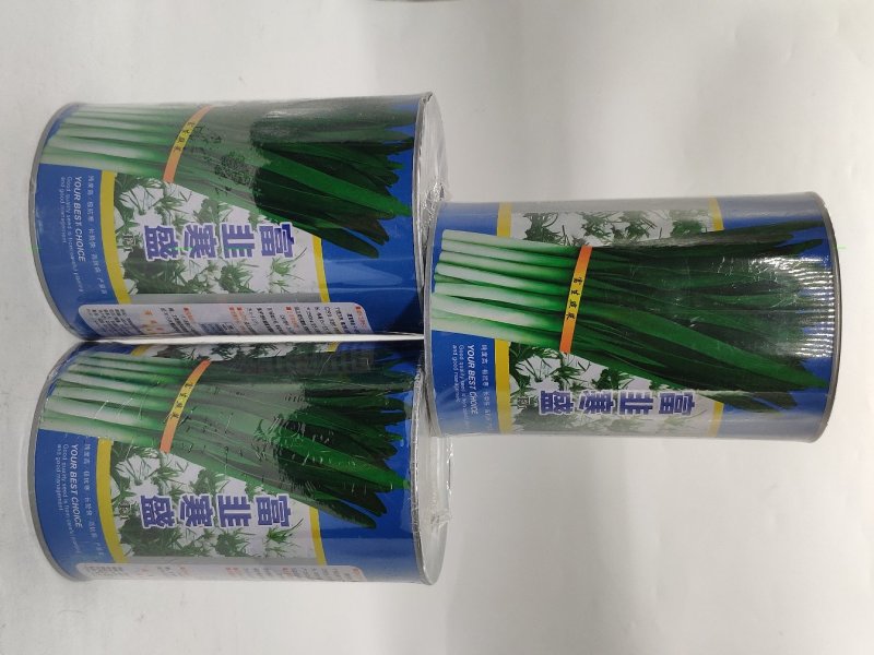 富韭寒盛韭菜种籽不休眠耐寒500克原罐发货