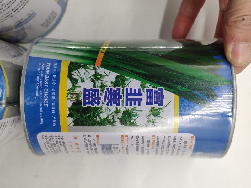 富韭寒盛韭菜种籽不休眠耐寒500克原罐发货