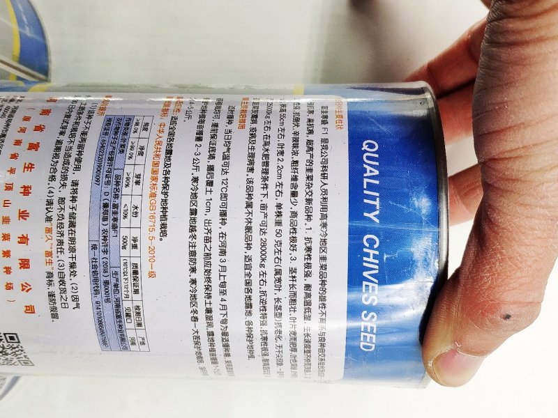 富韭寒盛韭菜种籽不休眠耐寒500克原罐发货