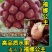 福娜公主甜蜜单细核品种与科学家联手签约收购
