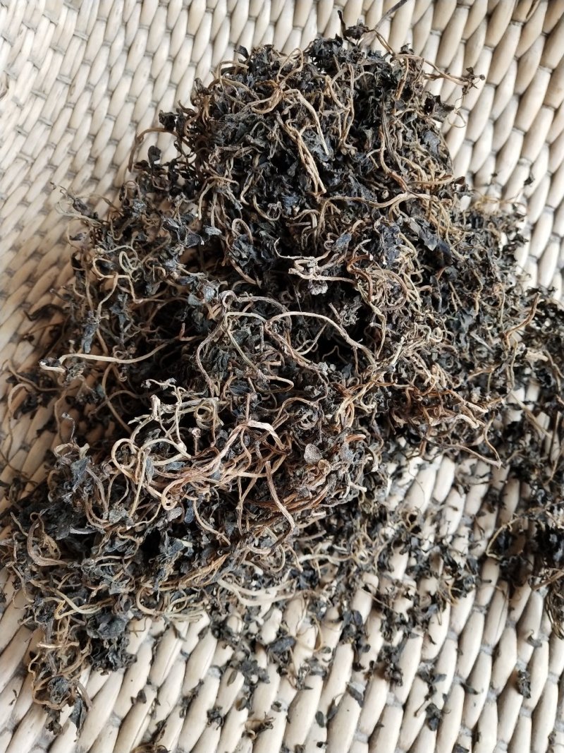马齿苋干