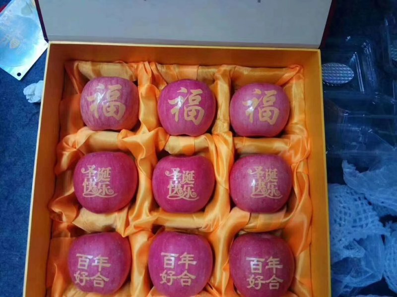 红富士苹果，75以上，80以上，纸袋。产地直供