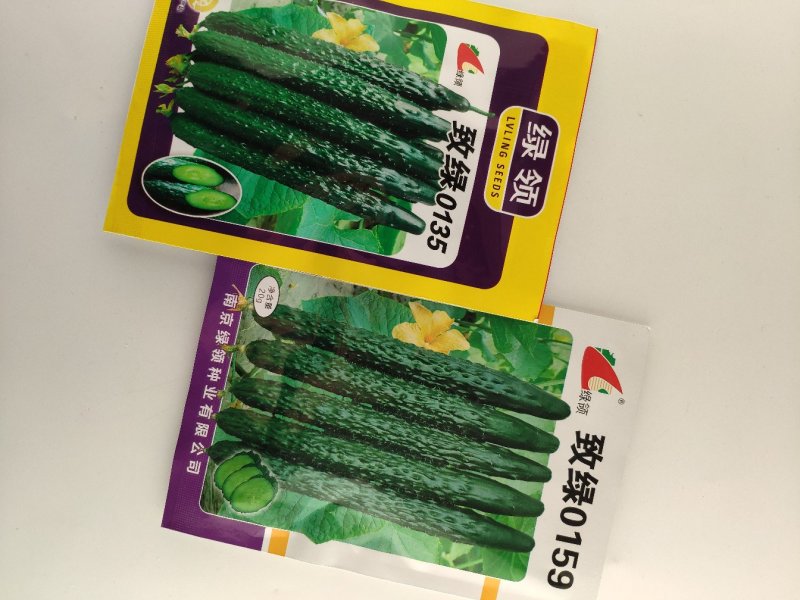 黑油亮绿肉黄瓜种子耐高温黄瓜种原袋发货支持线上交易20克