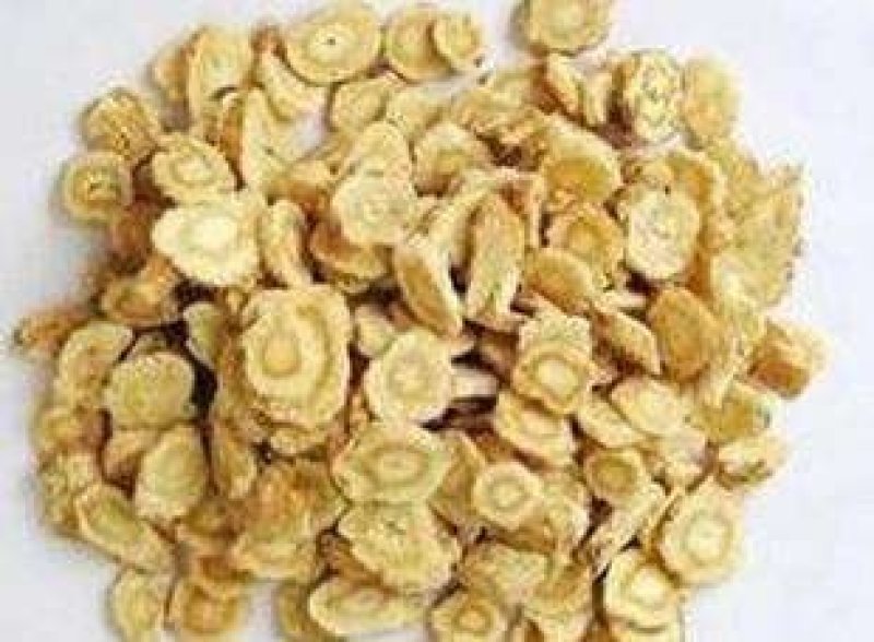 北沙参北沙参片两斤以上干货农家初选农副产品