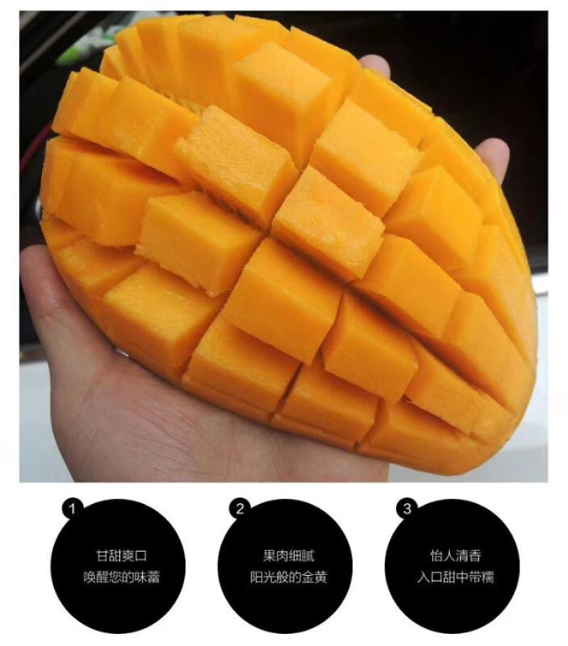 海南金黄芒水仙芒大芒果支持批发一件代发诚招代理