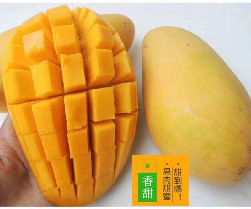 海南金黄芒水仙芒大芒果支持批发一件代发诚招代理