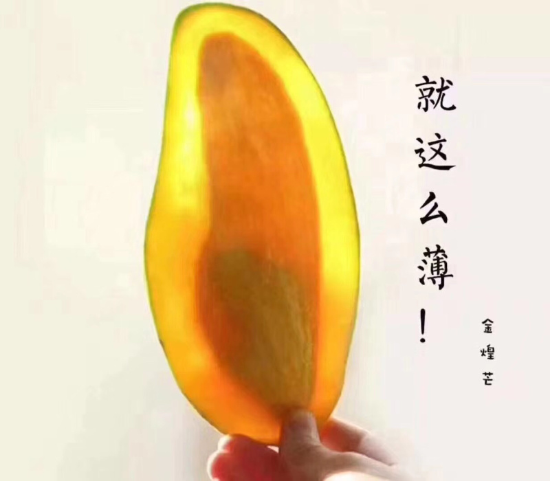 海南金黄芒水仙芒大芒果支持批发一件代发诚招代理