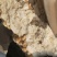 钟乳石中药材无硫净货保正品批发零售各种中药材