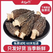 有好货羊肚菌干货剪腿精选2020年头茬肉厚味美顺丰包邮