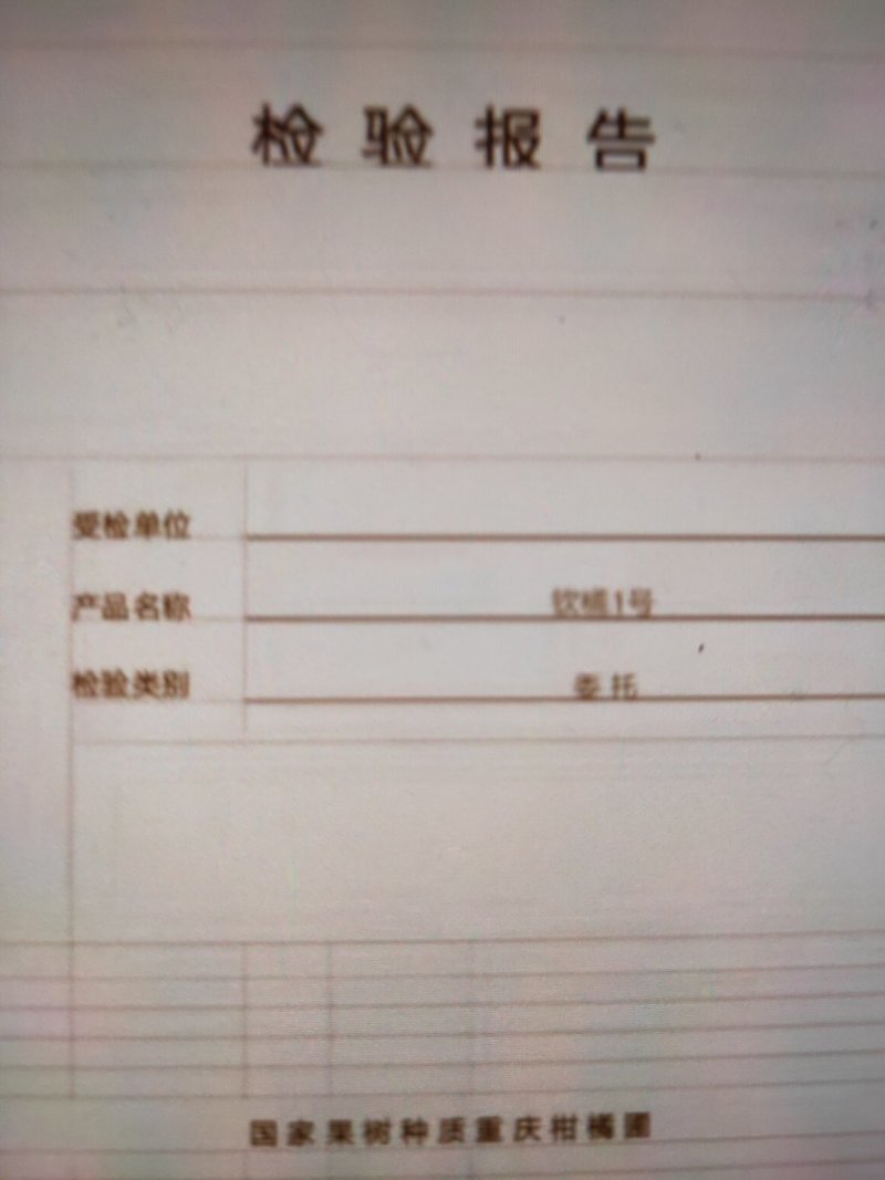 柑桔苗钦桔一号苗新品保护品种唯我授权推广他人销售为假冒侵