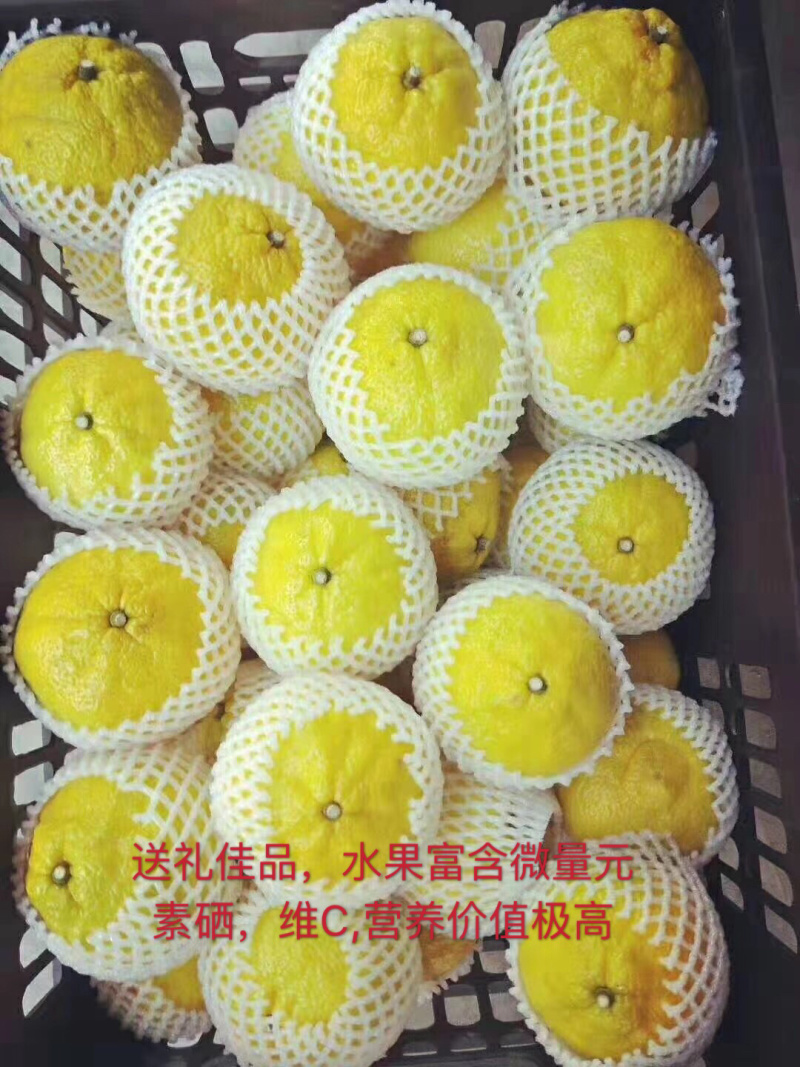 湖南怀化洪江黄金贡柚鲜采直销