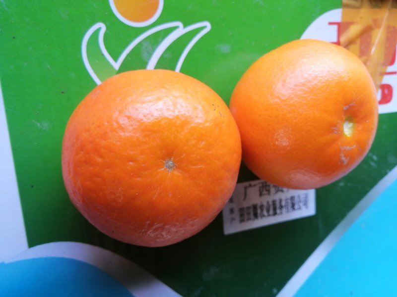 广西桂林贺州默科特大量上市有需要的老板随时联系