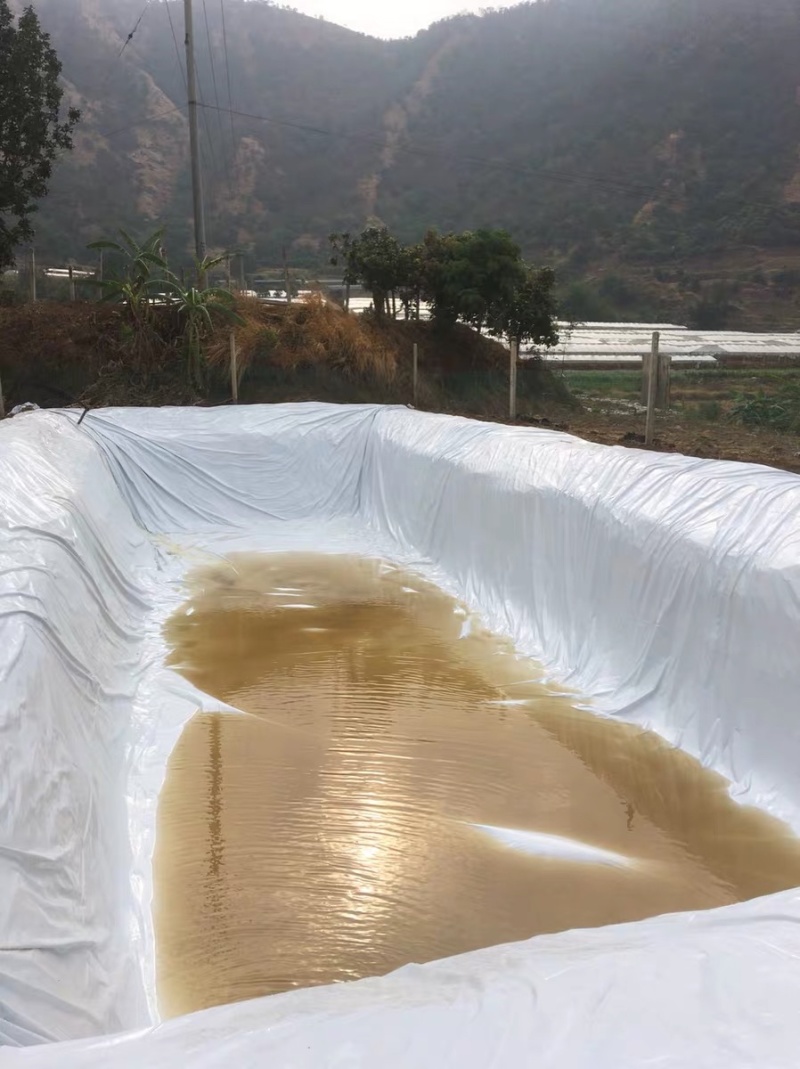 🔥食用菌类大棚膜✓水产养殖✓黑白膜✓大棚膜