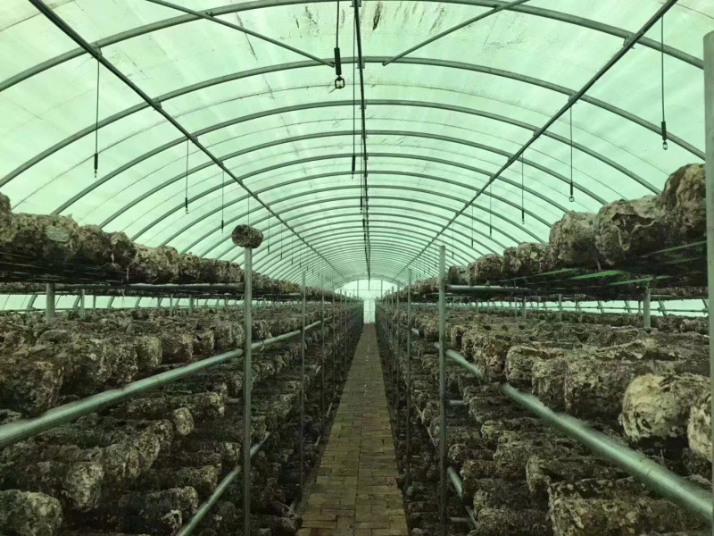 🔥食用菌类大棚膜✓水产养殖✓黑白膜✓大棚膜