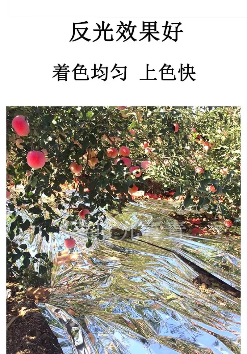 果树反光膜】打孔反光效果好大棚温度苹果反光