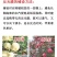 果树反光膜】打孔反光效果好大棚温度苹果反光