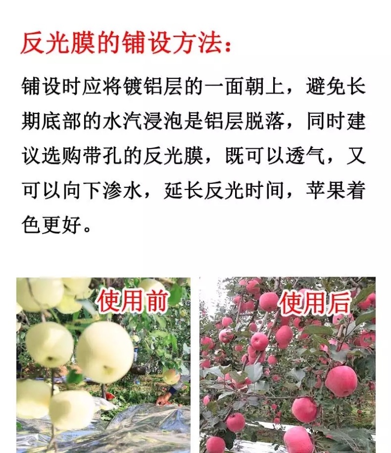 果树反光膜】打孔反光效果好大棚温度苹果反光