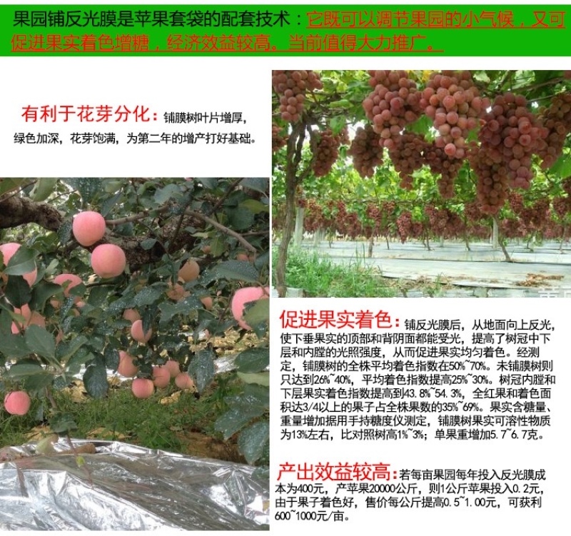 果树反光膜】打孔反光效果好大棚温度苹果反光