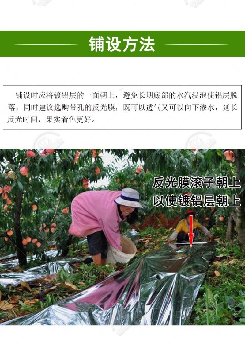 果树反光膜】打孔反光效果好大棚温度苹果反光
