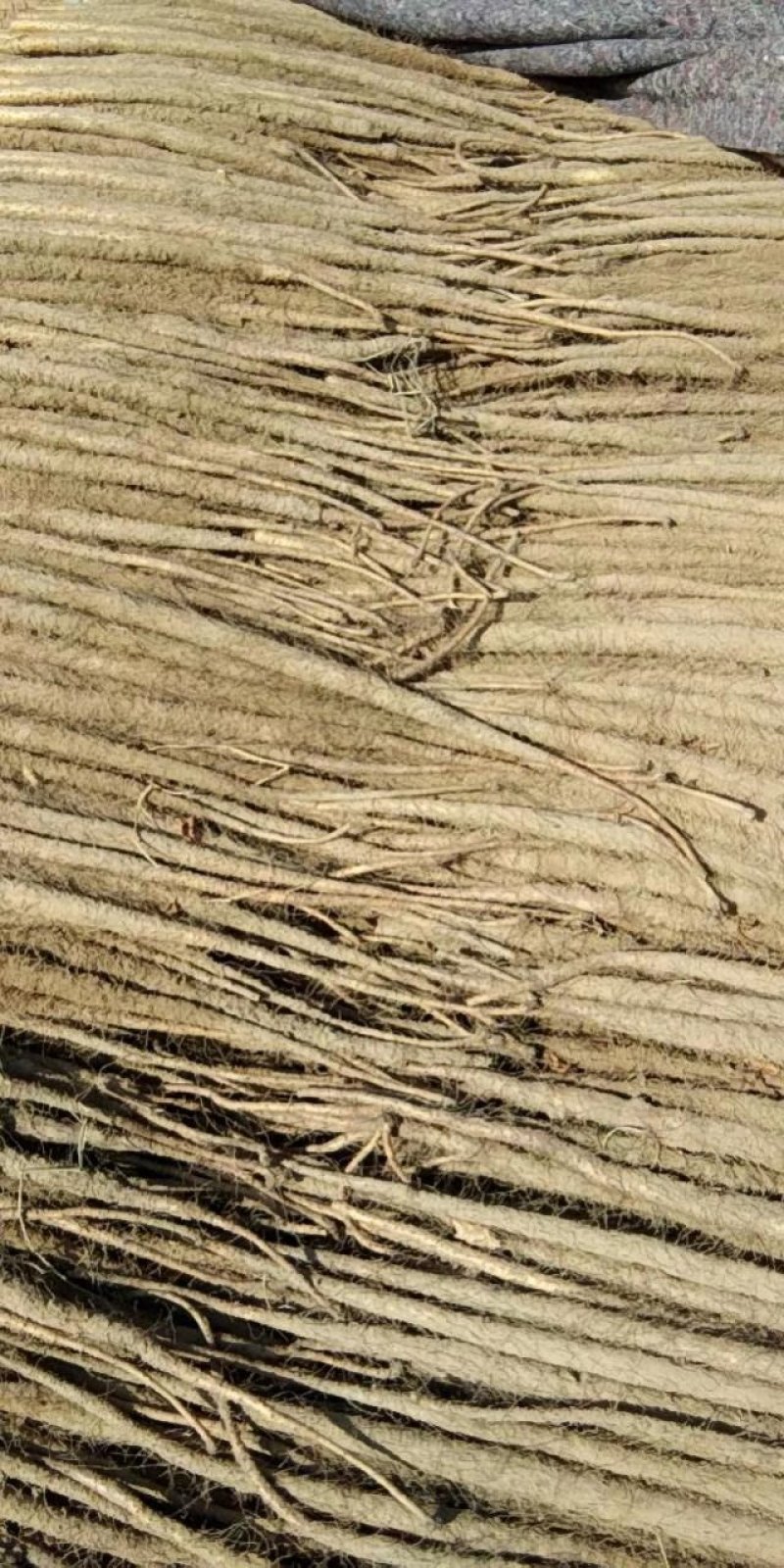 山药新鲜现挖特级铁棍山药山西运城铁杆蔬菜山药