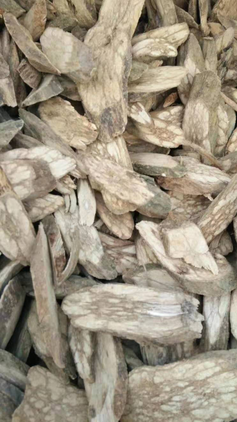 丁公藤【包邮】三斤起发货可批量可零售量大从优