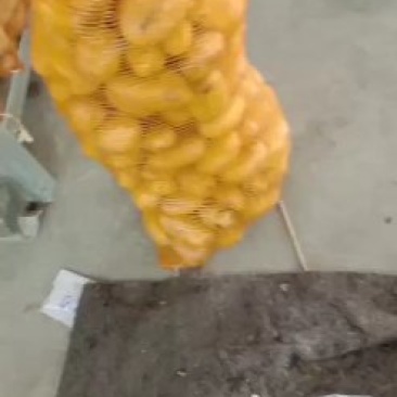 土豆