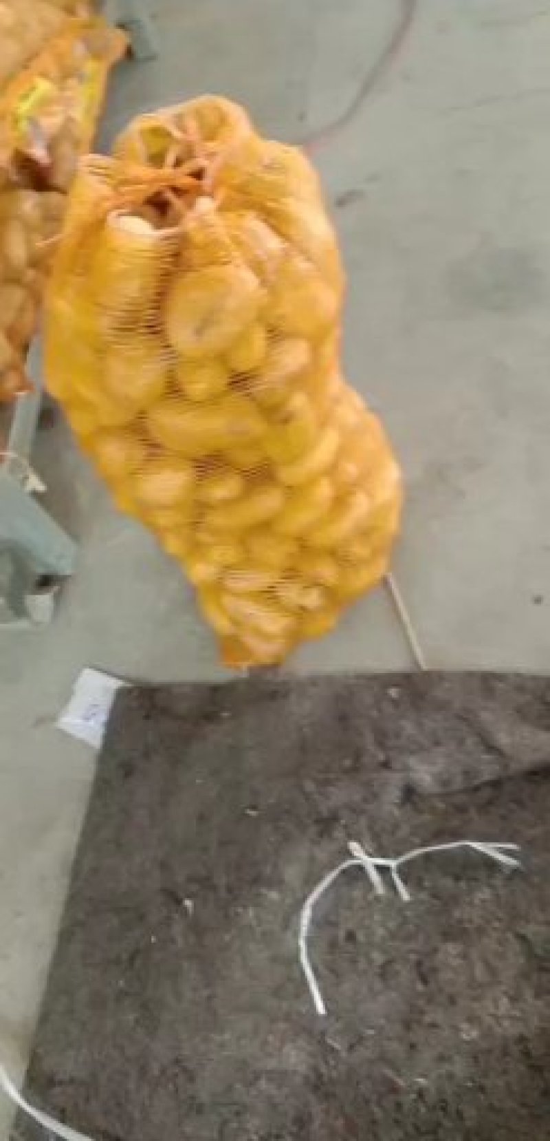 土豆