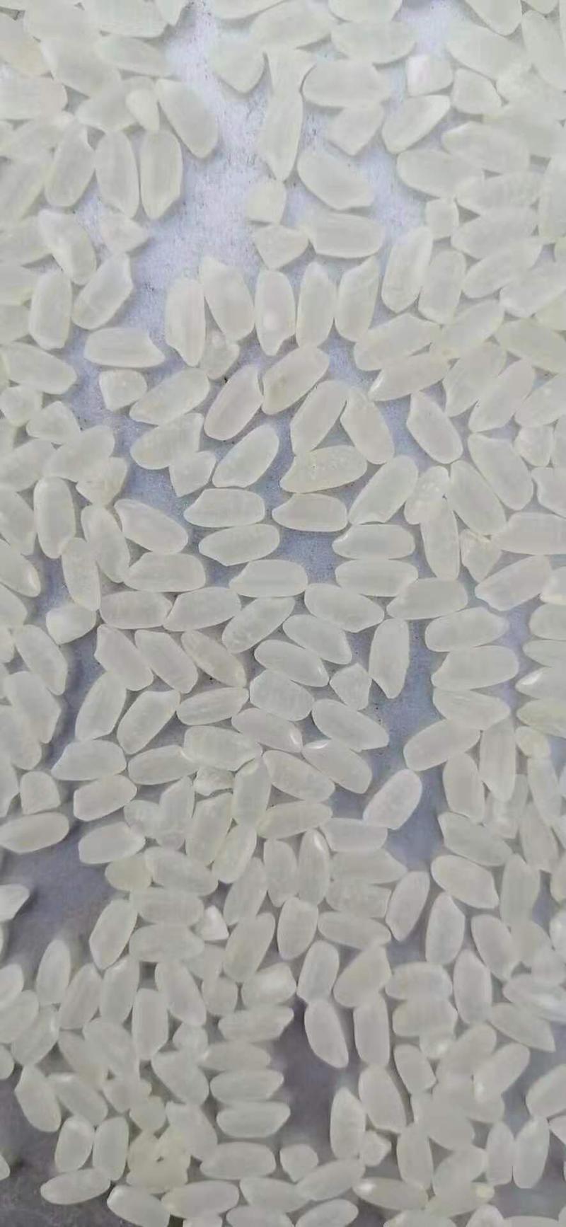 大米【珍珠米】新米，长粒和圆粒，无抛光