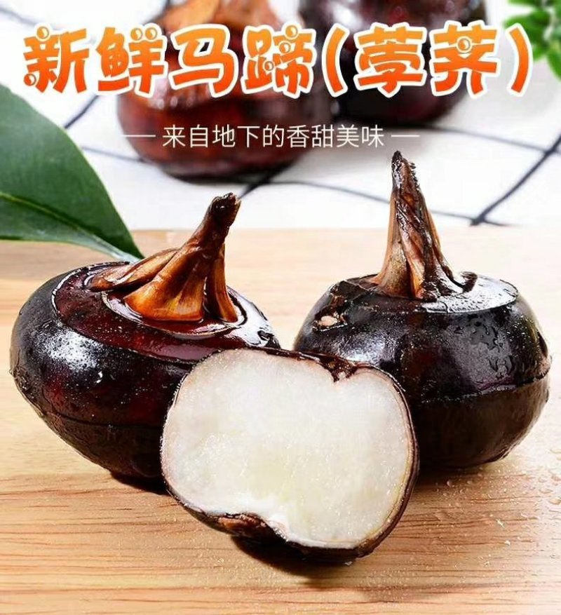 荸荠马蹄个大皮薄水份充足口感甜可视频看货