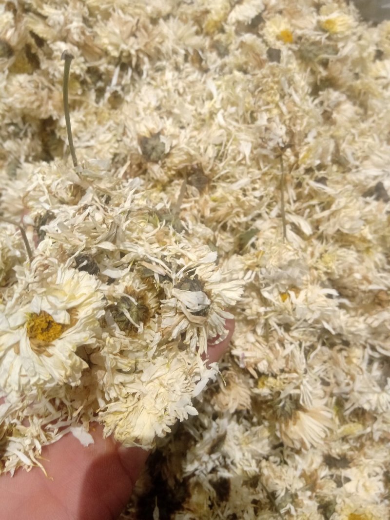 菊花1公斤起批不包邮量大电议欢迎咨询各种中药材