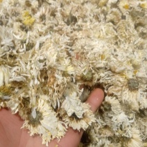 菊花1公斤起批不包邮量大电议欢迎咨询各种中药材