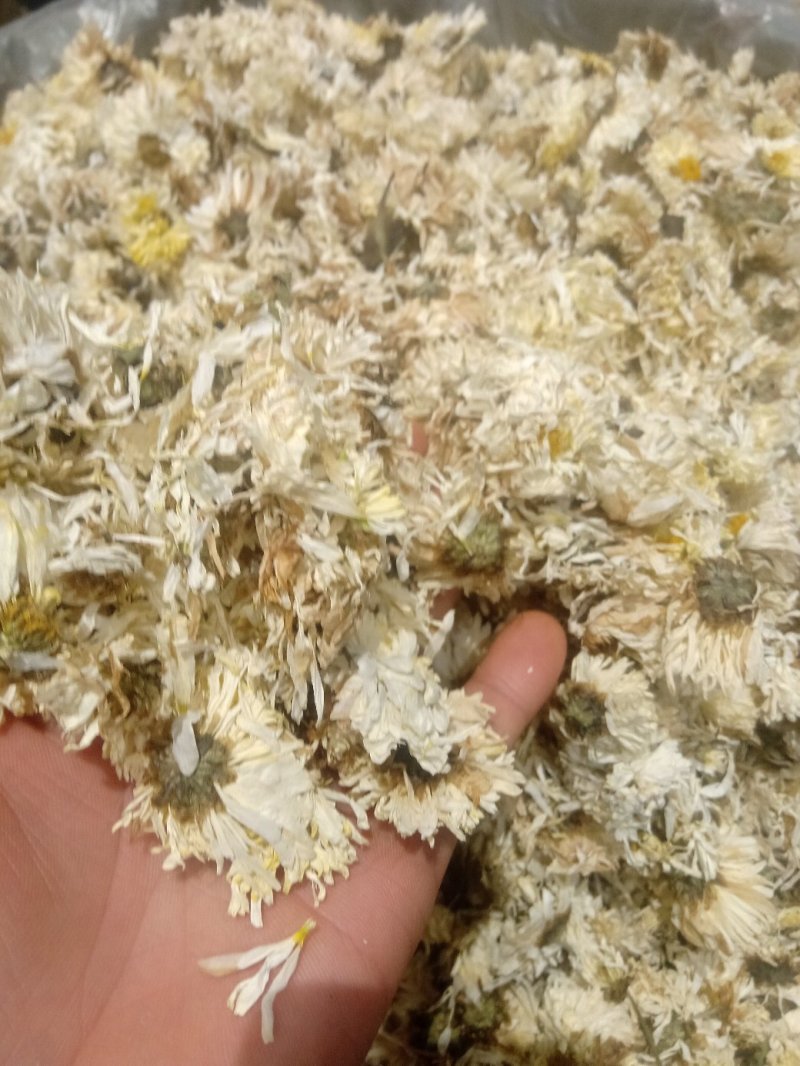 菊花1公斤起批不包邮量大电议欢迎咨询各种中药材