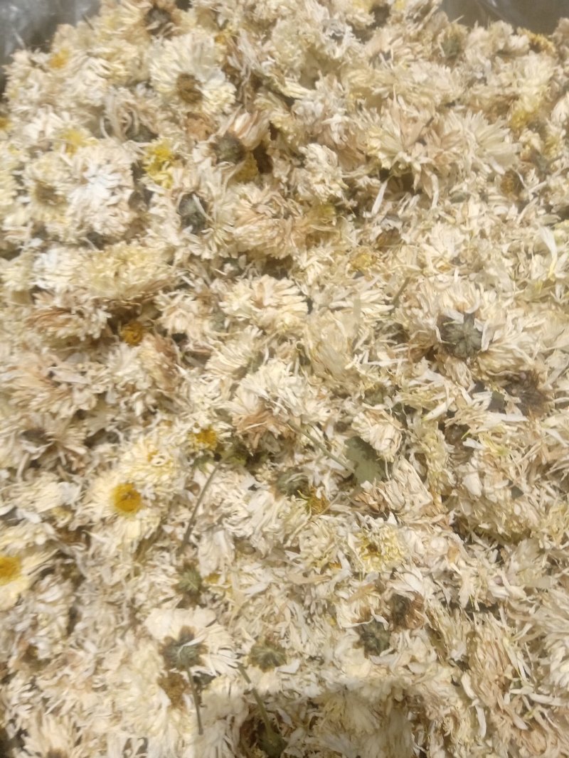 菊花1公斤起批不包邮量大电议欢迎咨询各种中药材