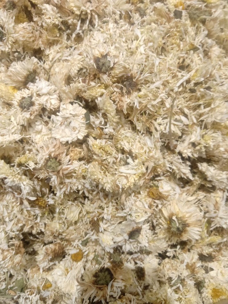 菊花1公斤起批不包邮量大电议欢迎咨询各种中药材