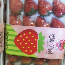 红颜草莓精品包装货源充足口感甜可供蛋糕店电商超市