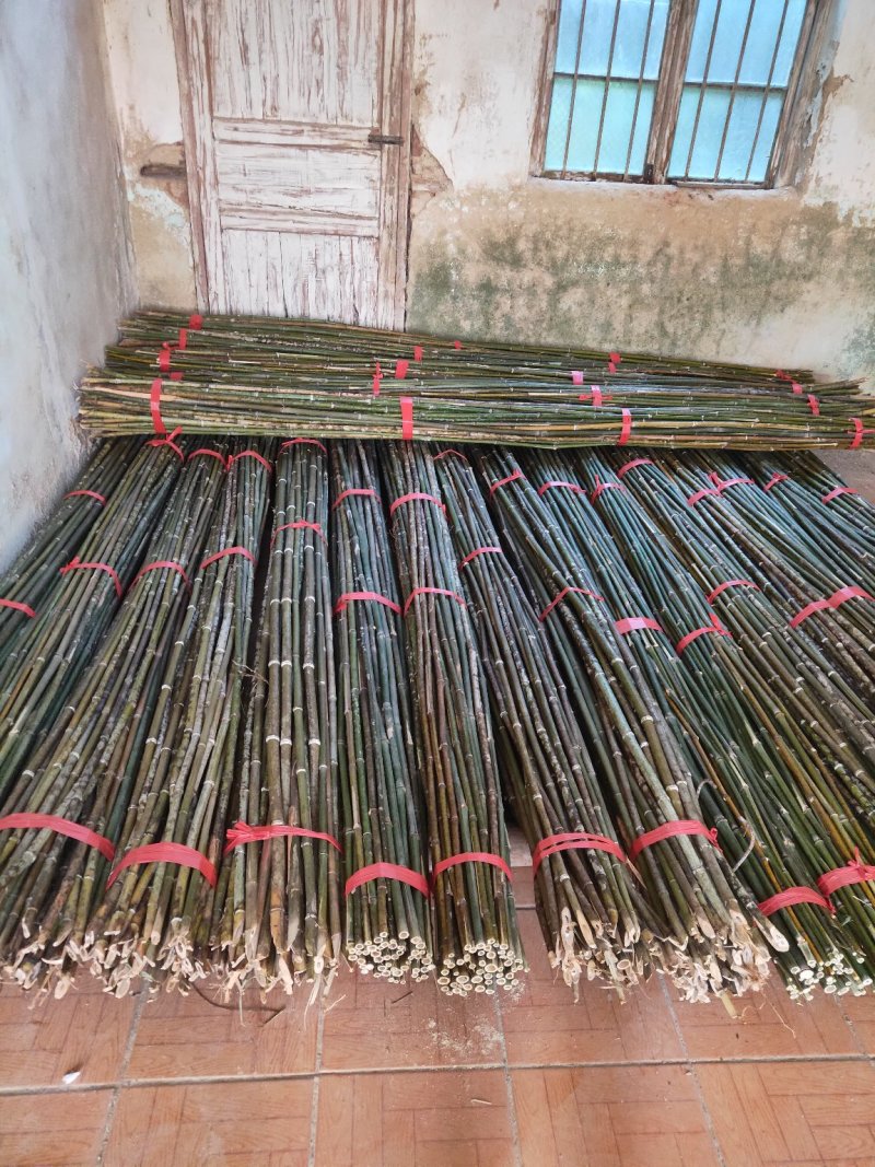 大量出售质量好价格便宜的菜架竹子