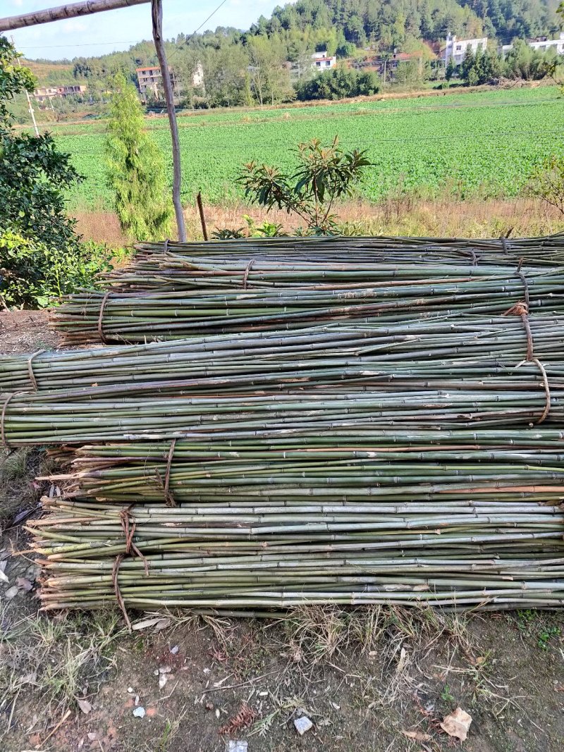 大量出售质量好价格便宜的菜架竹子