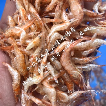 烘干虾一手货源饮用水库虾一年四季都有货