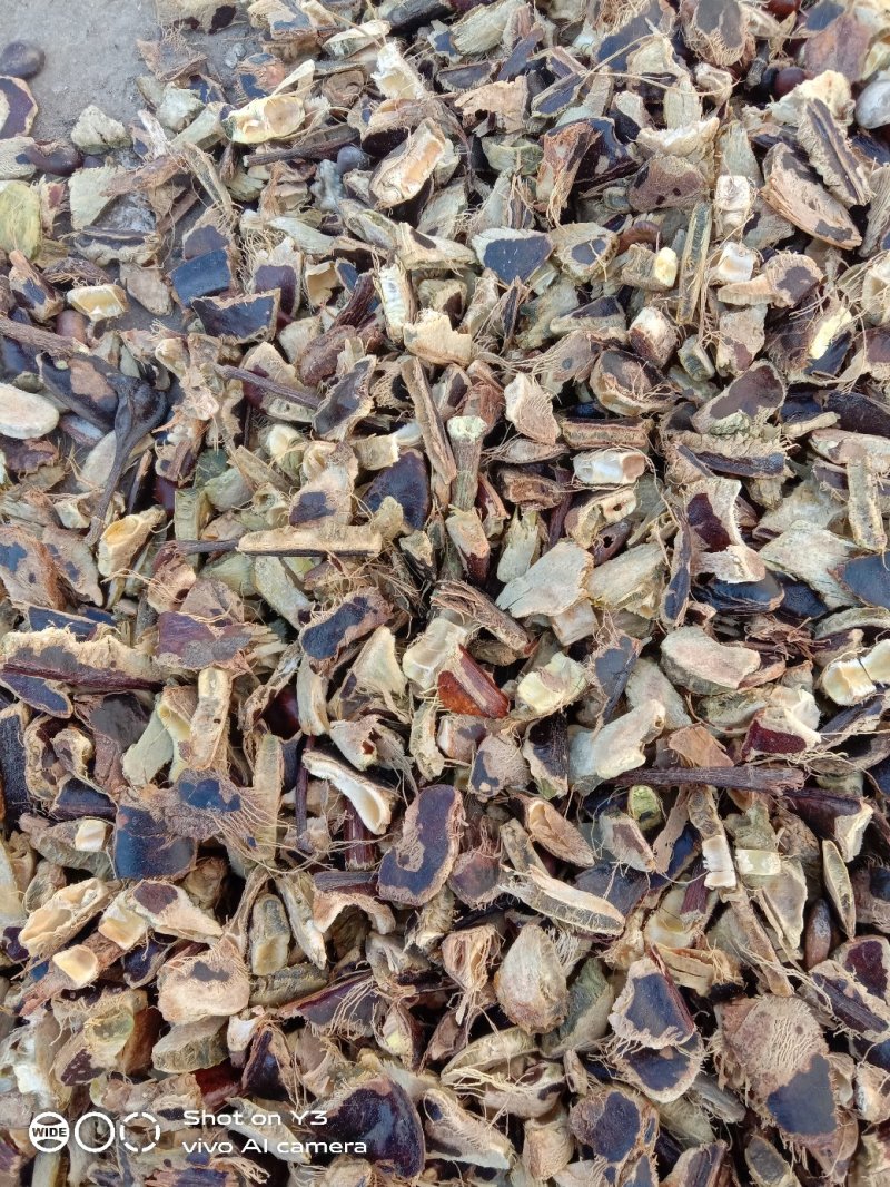 天然野生大皂角皮，大皂角粉