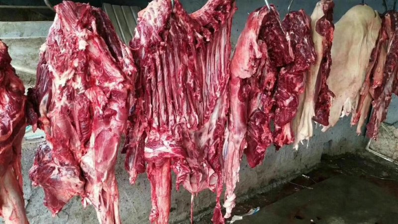 驴肉