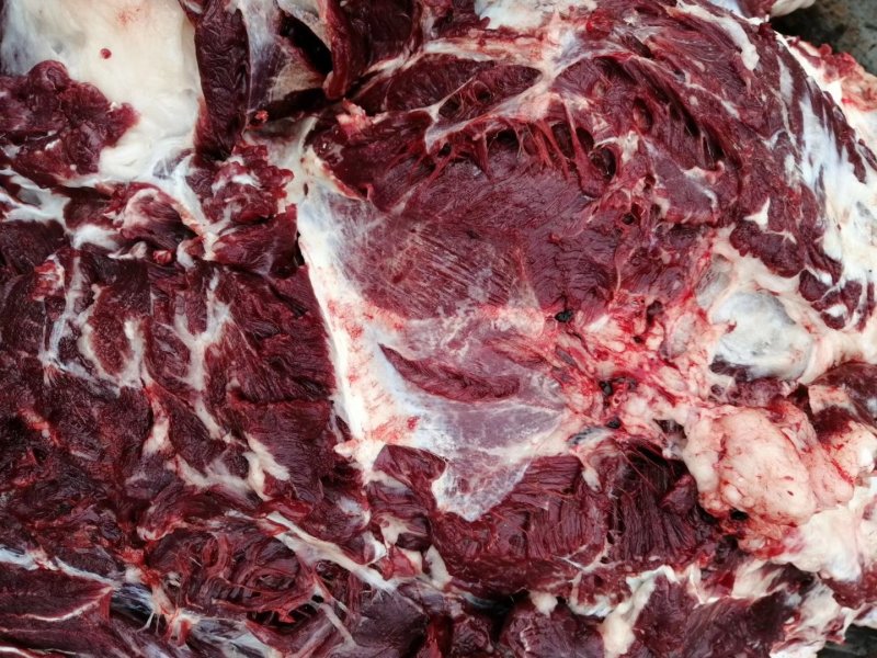 驴肉