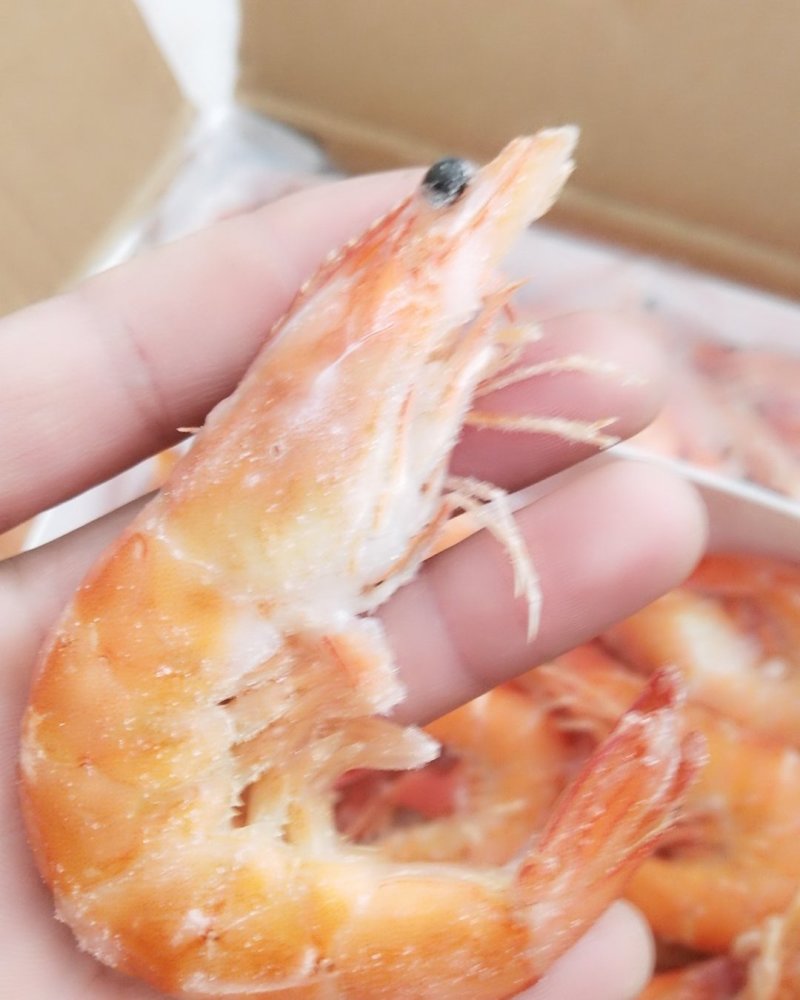 南美白对虾，海水养殖，营养丰富，渤海湾海水养殖，熟对虾