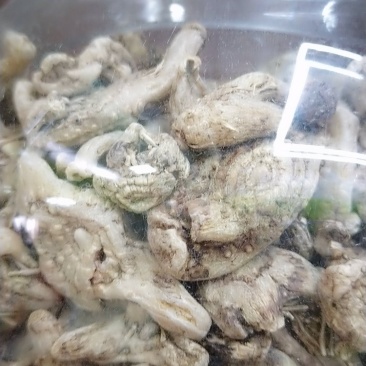 白芨成品，大量有货，需要的请联系我，产地自发欢迎咨询。