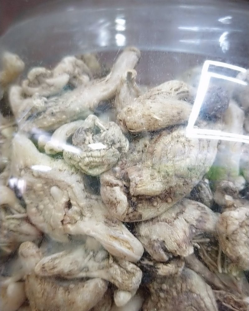白芨成品，大量有货，需要的请联系我，产地自发欢迎咨询。