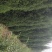 精品蜀侩，侩柏，铅笔柏，1-5米蜀侩，占地蜀侩