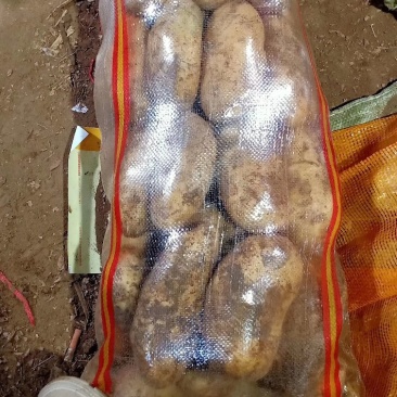 三优226精品思凡特