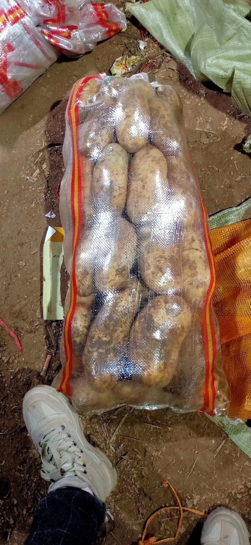 三优226精品思凡特