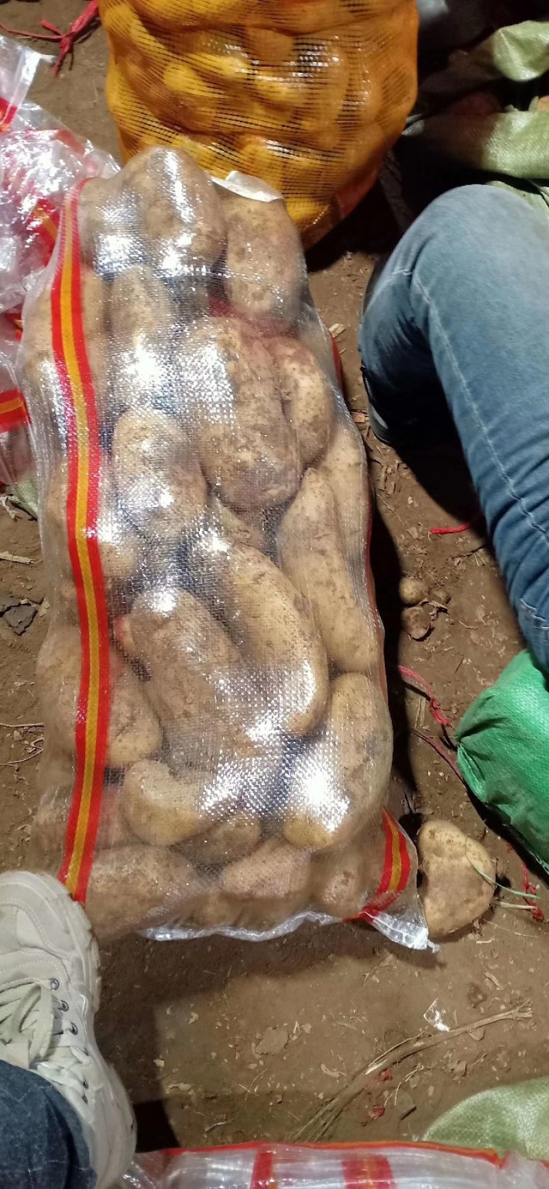 三优226精品思凡特