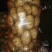 三优226精品思凡特
